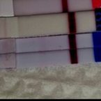 Это все реагенты
 
 
