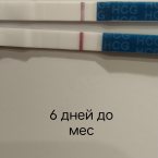 За 6 дней до мс