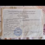 Посмотрите пожалуйста
