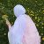 Nilufar