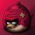 Angry birds