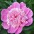 Лена