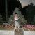 Виктория Кульченко
