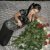 Lesya