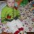 Анастасия NikiMummy