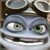 Frog Crazy