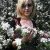 Шматенкова Евгения