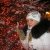 Шеметова Екатерина
