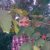 Nature Enigmatic