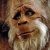 Yeti