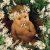 Татьяна Лебедева