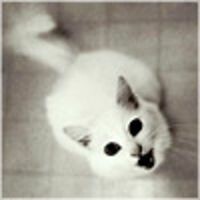 Полина