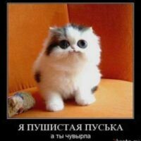 Кира