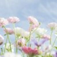 Онгаршакызы Самал