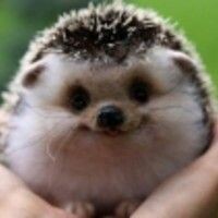 Катерина Федулова