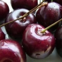 Катюша Козлова