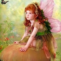 Велиева Юлия