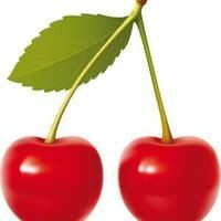 Cherry