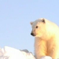 Валек