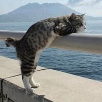 Ольга Юркина