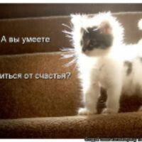 Алия