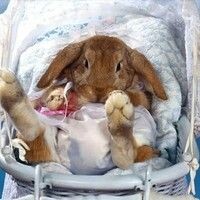 Малыгина Ирина
