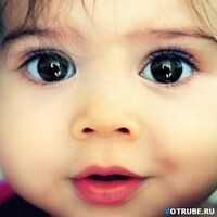 т л