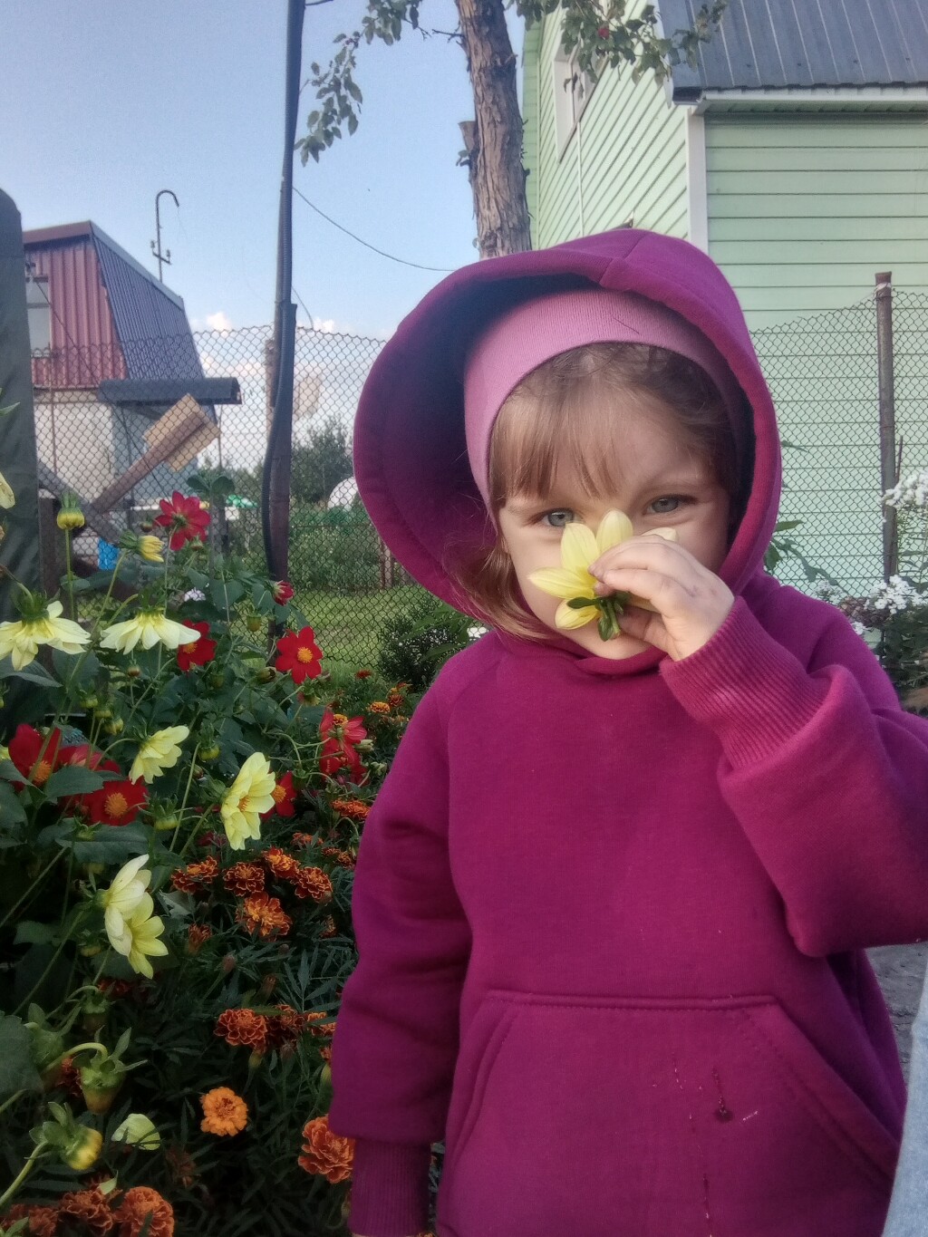 Анастасия Комиссарова