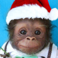 Ирина мамаМандарина