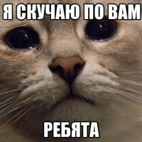 Маха