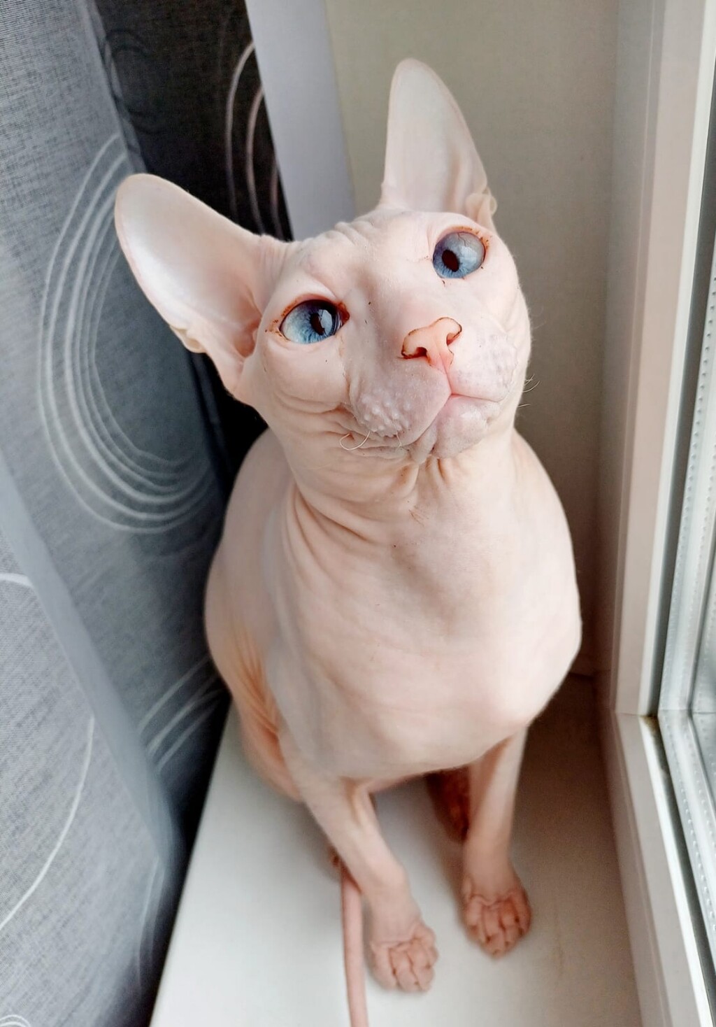 Yana